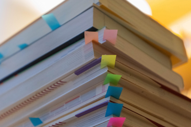 Leograf Corrupção