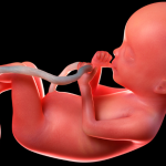 Dra. Thaline Neves explica como identificar a restrição de crescimento intrauterino (RCIU) e quais os cuidados essenciais a tomar.