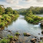 EBS – Empresa Brasileira de Saneamento LTDA